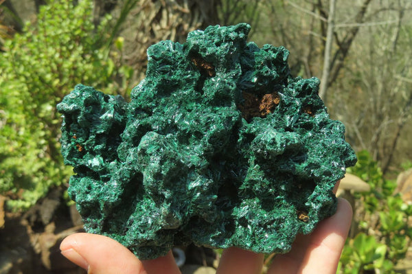 Natural Silky Malachite Specimen x 1 From Kasompe, Congo - Toprock Gemstones and Minerals 