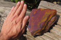 Polished On One Side Nguni Jasper Specimens x 2 From Prieska, South Africa - Toprock Gemstones and Minerals 