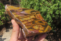 Polished On One Side Nguni Jasper Specimens x 2 From Prieska, South Africa - Toprock Gemstones and Minerals 