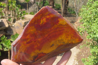 Polished On One Side Nguni Jasper Specimens x 2 From Prieska, South Africa - Toprock Gemstones and Minerals 
