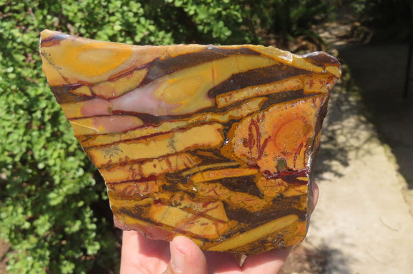 Polished On One Side Nguni Jasper Specimens x 2 From Prieska, South Africa - Toprock Gemstones and Minerals 