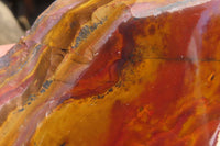 Polished On One Side Nguni Jasper Specimens x 2 From Prieska, South Africa - Toprock Gemstones and Minerals 