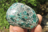 Polished Rare Emerald Mica In Matrix Free Forms x 12 From Mutoko, Zimbabwe - Toprock Gemstones and Minerals 