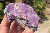 Natural Metallic Purpurite Cobbed Specimens x 6 From Erongo, Namibia - Toprock Gemstones and Minerals 