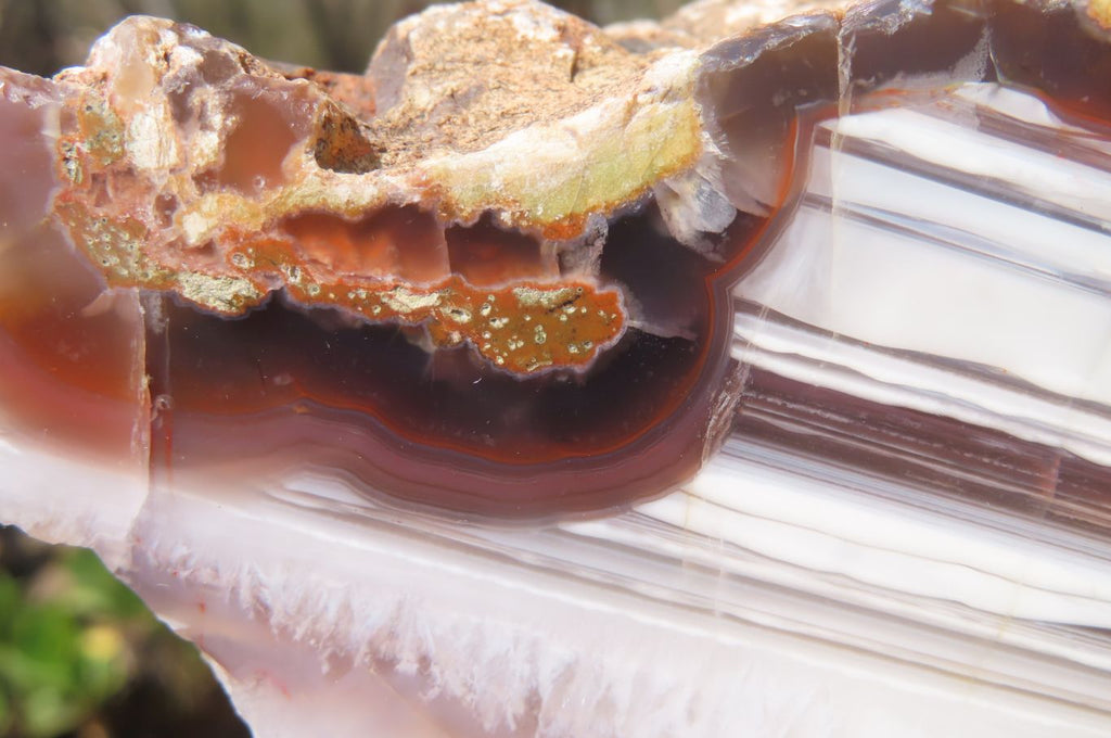 Polished Red Sashe River Agate Nodules x 3 From Zimbabwe - Toprock Gemstones and Minerals 