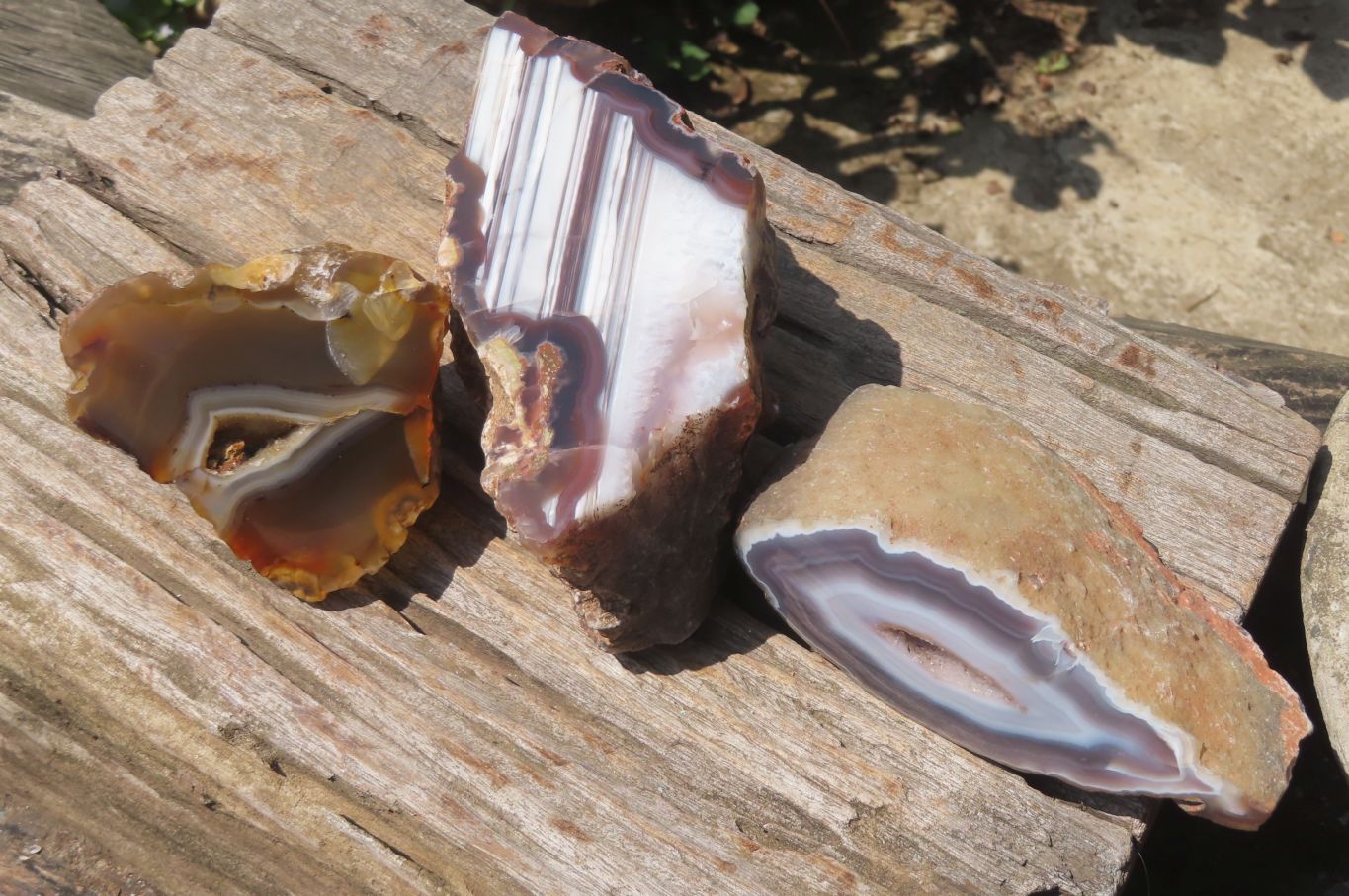Polished Red Sashe River Agate Nodules x 3 From Zimbabwe - Toprock Gemstones and Minerals 