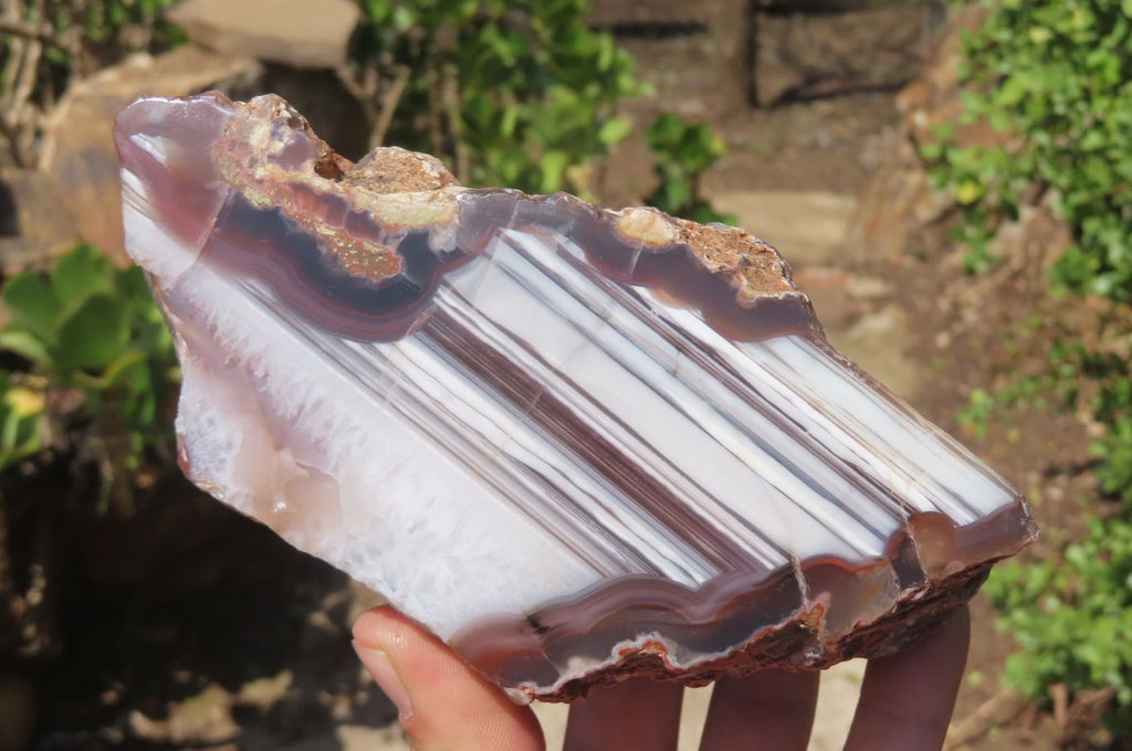 Polished Red Sashe River Agate Nodules x 3 From Zimbabwe - Toprock Gemstones and Minerals 