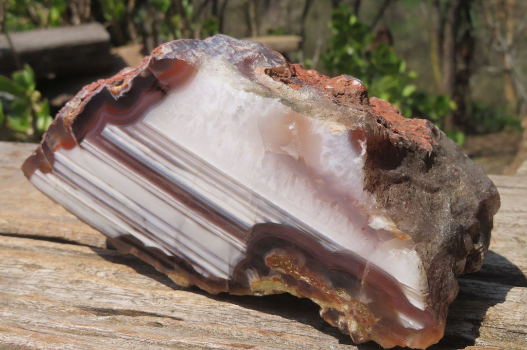 Polished Red Sashe River Agate Nodules x 3 From Zimbabwe - Toprock Gemstones and Minerals 