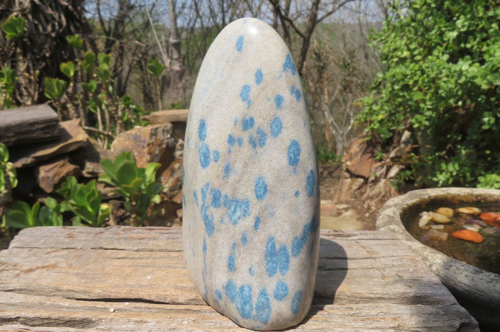 Polished Blue Spinel Spotted Quartz Standing Free Form x 1 From Madagascar - Toprock Gemstones and Minerals 