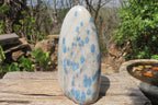 Polished Blue Spinel Spotted Quartz Standing Free Form x 1 From Madagascar - Toprock Gemstones and Minerals 