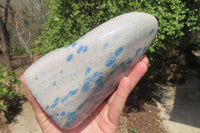 Polished Blue Spinel Spotted Quartz Standing Free Form x 1 From Madagascar - Toprock Gemstones and Minerals 
