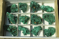 Natural Silky Malachite Specimens x 12 From Kasompe, Congo - Toprock Gemstones and Minerals 