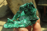 Natural Silky Malachite Specimens x 12 From Kasompe, Congo - Toprock Gemstones and Minerals 