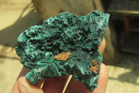 Natural Silky Malachite Specimens x 12 From Kasompe, Congo - Toprock Gemstones and Minerals 
