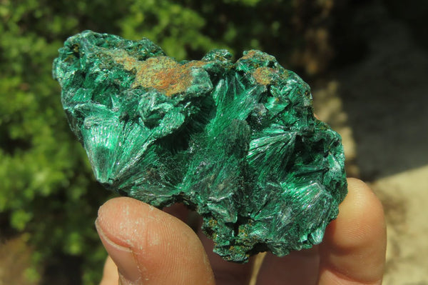 Natural Silky Malachite Specimens x 12 From Kasompe, Congo - Toprock Gemstones and Minerals 