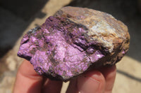 Natural Metallic Purpurite Cobbed Specimens x 12 From Erongo, Namibia - Toprock Gemstones and Minerals 