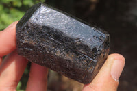 Natural Alluvial Schorl Black Tourmaline Crystals x 12 From Zimbabwe - Toprock Gemstones and Minerals 