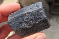 Natural Alluvial Schorl Black Tourmaline Crystals x 12 From Zimbabwe - Toprock Gemstones and Minerals 