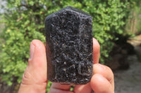 Natural Alluvial Schorl Black Tourmaline Crystals x 12 From Zimbabwe - Toprock Gemstones and Minerals 