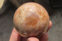 Polished Peach Moonstone Spheres x 6 From Madagascar - Toprock Gemstones and Minerals 