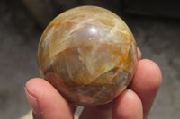 Polished Peach Moonstone Spheres x 6 From Madagascar - Toprock Gemstones and Minerals 