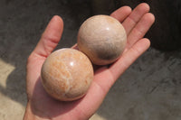 Polished Peach Moonstone Spheres x 6 From Madagascar - Toprock Gemstones and Minerals 