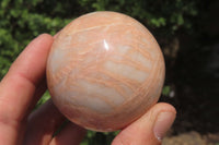 Polished Peach Moonstone Spheres x 6 From Madagascar - Toprock Gemstones and Minerals 