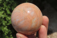 Polished Peach Moonstone Spheres x 6 From Madagascar - Toprock Gemstones and Minerals 