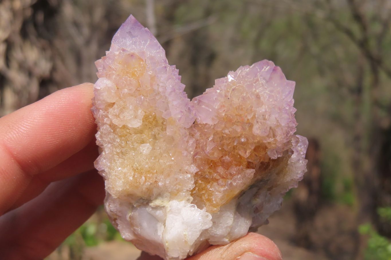 Natural Ametrine Spirit Quartz Clusters x 12 From Boekenhouthoek, South Africa - Toprock Gemstones and Minerals 