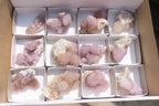 Natural Ametrine Spirit Quartz Clusters x 12 From Boekenhouthoek, South Africa - Toprock Gemstones and Minerals 