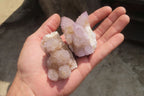 Natural Ametrine Spirit Quartz Clusters x 12 From Boekenhouthoek, South Africa - Toprock Gemstones and Minerals 