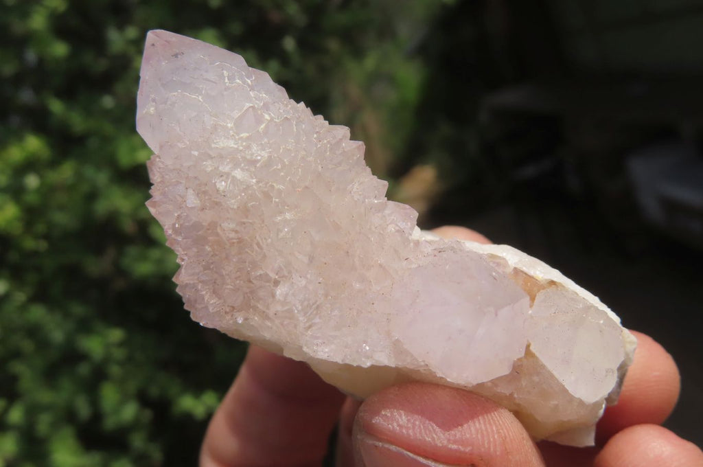 Natural Ametrine Spirit Quartz Clusters x 12 From Boekenhouthoek, South Africa - Toprock Gemstones and Minerals 