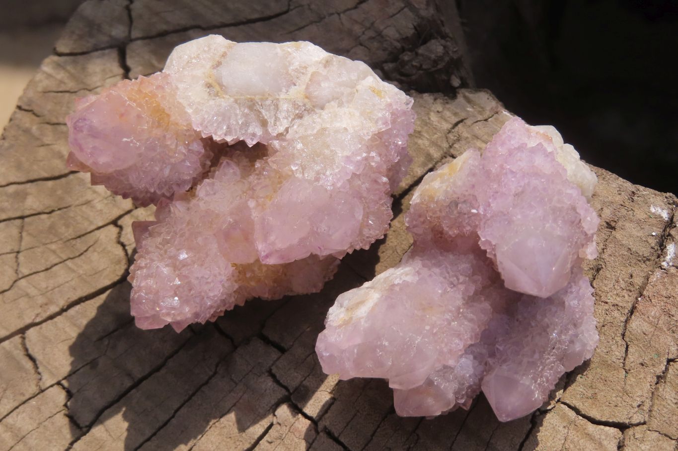 Natural Ametrine Spirit Quartz Clusters x 12 From Boekenhouthoek, South Africa - Toprock Gemstones and Minerals 