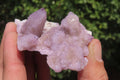 Natural Ametrine Spirit Quartz Clusters x 12 From Boekenhouthoek, South Africa - Toprock Gemstones and Minerals 