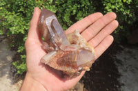 Natural Red Hematoid Quartz Crystals x 6 From Zimbabwe - Toprock Gemstones and Minerals 