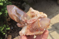 Natural Red Hematoid Quartz Crystals x 6 From Zimbabwe - Toprock Gemstones and Minerals 