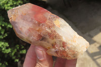 Natural Red Hematoid Quartz Crystals x 6 From Zimbabwe - Toprock Gemstones and Minerals 
