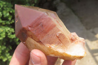 Natural Red Hematoid Quartz Crystals x 6 From Zimbabwe - Toprock Gemstones and Minerals 
