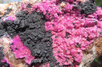 Natural Salrose Cobaltion Dolomite Specimens x 2 From Kakanda, Congo - Toprock Gemstones and Minerals 