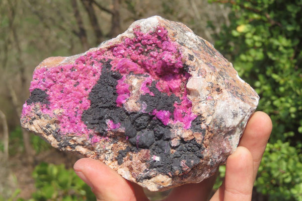 Natural Salrose Cobaltion Dolomite Specimens x 2 From Kakanda, Congo - Toprock Gemstones and Minerals 