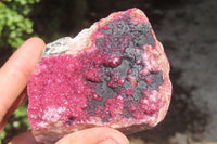 Natural Salrose Cobaltion Dolomite Specimens x 2 From Kakanda, Congo - Toprock Gemstones and Minerals 