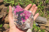 Natural Salrose Cobaltion Dolomite Specimens x 2 From Kakanda, Congo - Toprock Gemstones and Minerals 