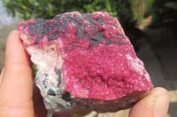 Natural Salrose Cobaltion Dolomite Specimens x 2 From Kakanda, Congo - Toprock Gemstones and Minerals 