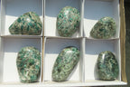 Polished Rare Emerald Mica In Matrix Free Forms x 6 From Mutoko, Zimbabwe - Toprock Gemstones and Minerals 