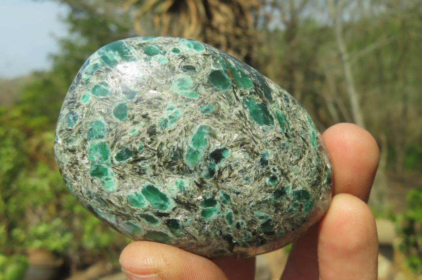 Polished Rare Emerald Mica In Matrix Free Forms x 6 From Mutoko, Zimbabwe - Toprock Gemstones and Minerals 