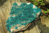 Natural Extra Large Emerald Dioptase Specimen x 1 From Congo - Toprock Gemstones and Minerals 