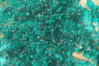 Natural Extra Large Emerald Dioptase Specimen x 1 From Congo - Toprock Gemstones and Minerals 