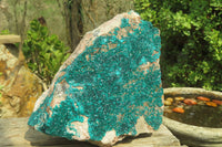 Natural Extra Large Emerald Dioptase Specimen x 1 From Congo - Toprock Gemstones and Minerals 