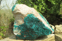 Natural Extra Large Emerald Dioptase Specimen x 1 From Congo - Toprock Gemstones and Minerals 