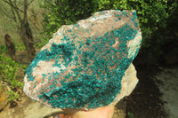 Natural Extra Large Emerald Dioptase Specimen x 1 From Congo - Toprock Gemstones and Minerals 